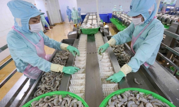 Thủy sản xuất khẩu thủy sản quý 1 có đang lo?