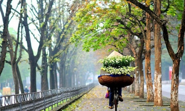 Hoa Loa kèn dịu dàng nỗi nhớ tháng Tư