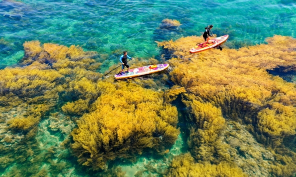 Top 10 điểm đến không thể bỏ lỡ dịp Lễ Giỗ Tổ, 30/4 & 1/5 tại Quy Nhơn, Bình Định