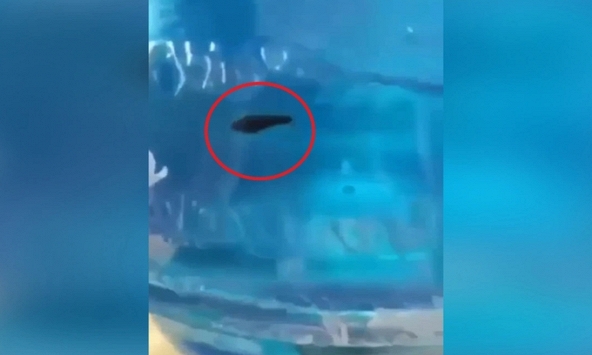 Vụ ‘phát hiện đỉa trong nước uống đóng bình’: Bộ Y tế đề nghị xử nghiêm