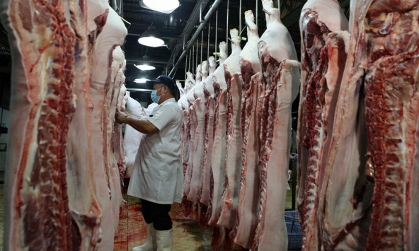 Xuất khẩu thịt của Việt Nam tăng mạnh