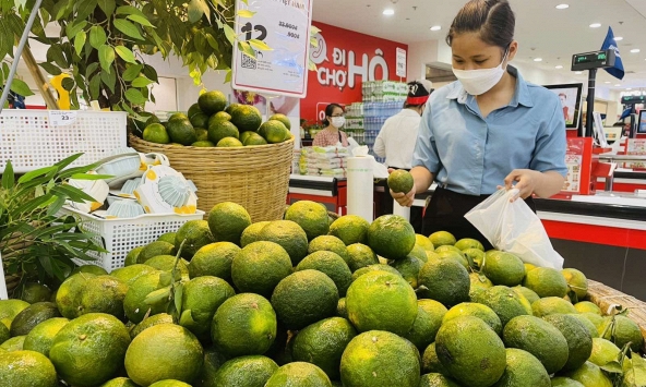 Nhiều loại trái cây giảm giá mạnh, sức mua vẫn yếu