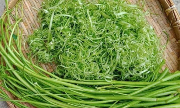 5 cấm kỵ rất hữu ích cho các bà nội trợ khi chọn ăn rau muống