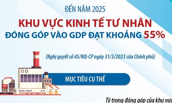 Đến năm 2025, khu vực kinh tế tư nhân đóng góp vào GDP đạt khoảng 55%