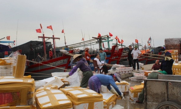 Những khoang tàu đầy ắp cá lưỡng hồng của ngư dân làng biển