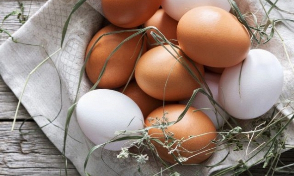 Bối rối sắc màu vỏ quả trứng gà: nâu tốt hay trắng tốt?
