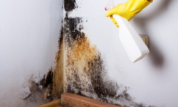 7 cách tẩy nấm mốc trần nhà đơn giản nhưng hiệu quả