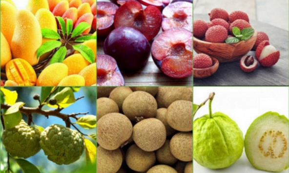 10 loại trái cây ngon ngọt nhưng càng ăn càng nóng vào ngày hè