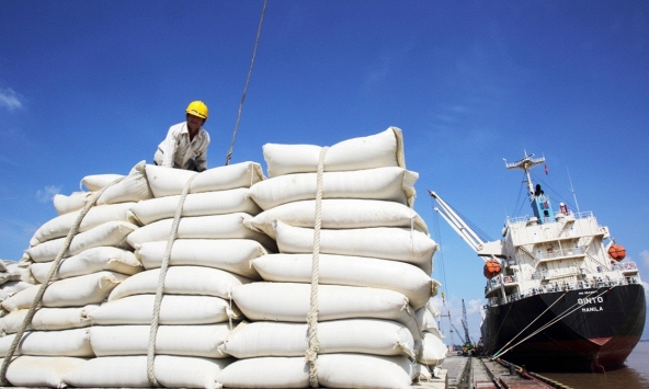 Dự báo xuất khẩu gạo quý 2/2023 tăng trưởng tích cực