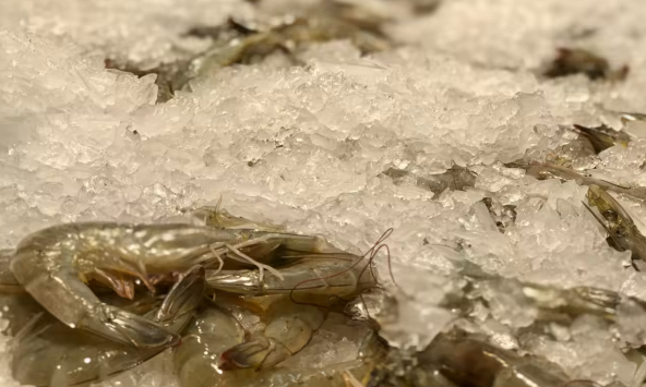 Ngành tôm Việt Nam ứng dụng công nghệ để phát triển chuỗi cung ứng sạch