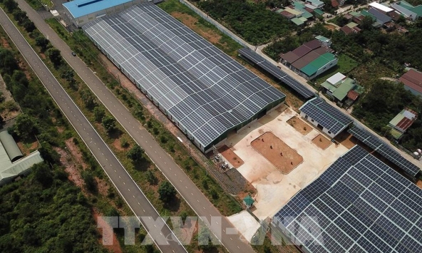 Tháng 5, số doanh nghiệp thành lập mới giảm hơn 24%