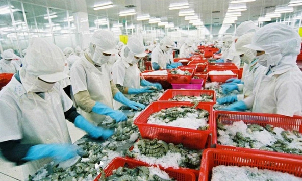 Kim ngạch xuất khẩu nông lâm thủy sản 5 tháng đạt 20,26 tỷ USD