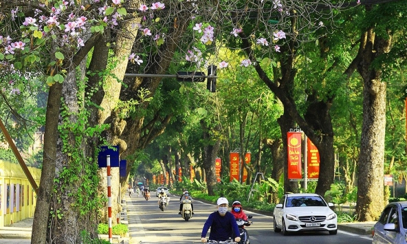 Dự báo thời tiết đêm nay và ngày mai 31/5: Hà Nội nắng nóng gay gắt, Nam Bộ có mưa