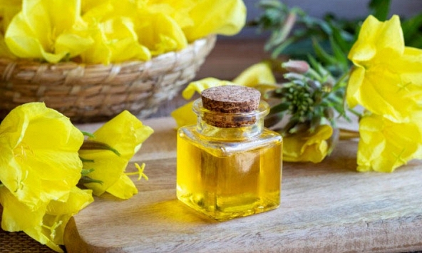 Cách uống tinh dầu hoa anh thảo cho người mới bắt đầu