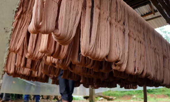 Ấn Độ chuyển hướng sử dụng nguyên liệu xanh trong ngành dệt may