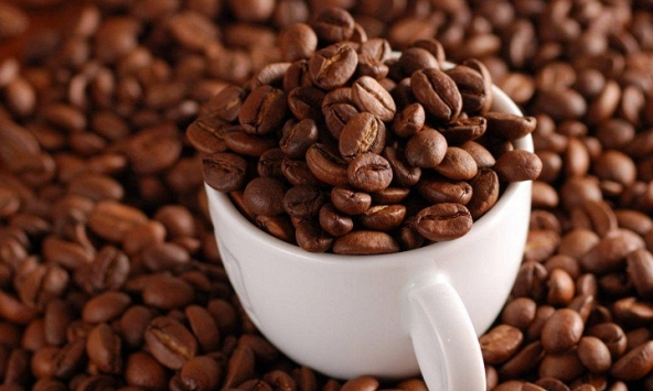 Dự báo giá cà phê robusta tiếp tục tăng