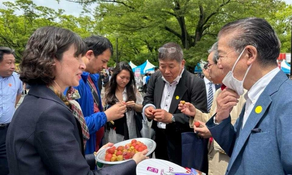 Người Nhật thích thú trải nghiệm, thưởng thức quả vải thiều, nhãn Việt Nam