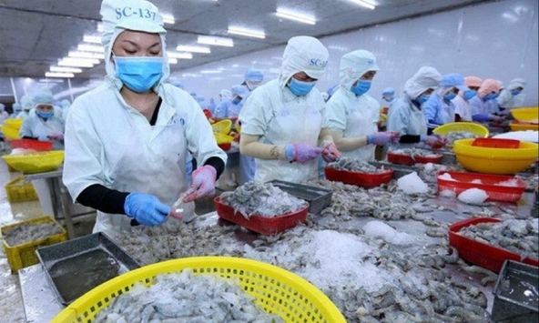 Xuất khẩu thủy sản tháng 5/2023 tiếp tục giảm