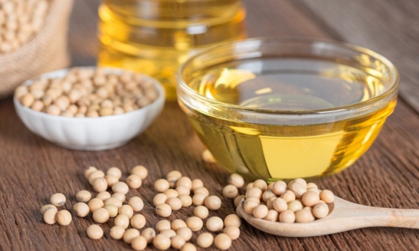 Thị trường hàng hóa nguyên liệu trên đà hồi phục