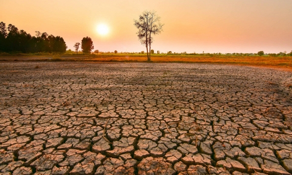 El Nino chính thức xuất hiện, khí hậu biến đổi khôn lường