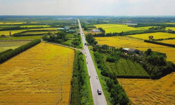 Long An chuyển đổi hơn 18ha đất trồng lúa để làm dự án tái định cư