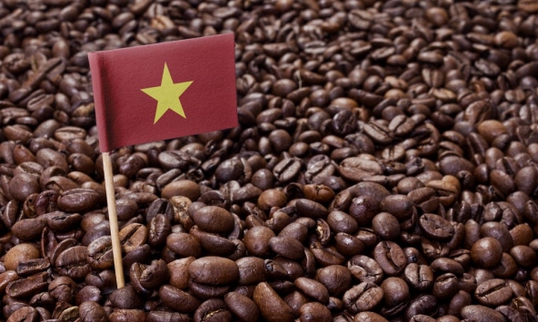Cà phê Việt: Thách thức vùng giá mới