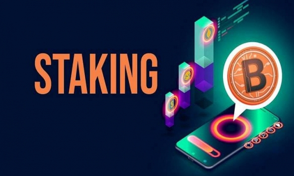 Staking là gì? Staking ở đâu vừa an toàn, vừa lãi cao?