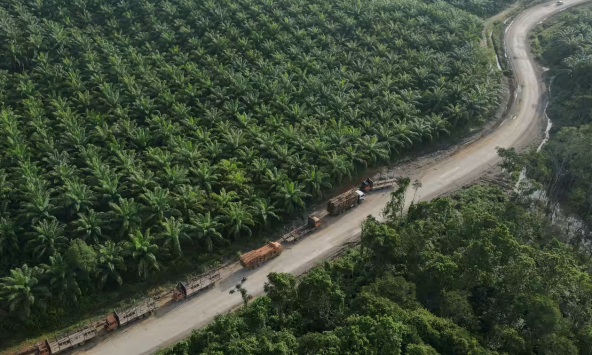 El Nino chính thức xuất hiện, nhiều nước Đông Nam Á lo cháy rừng và hạn hán