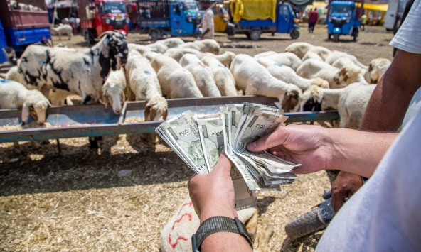 Giới siêu giàu ở nông thôn Ấn Độ tăng nhanh hơn thành thị