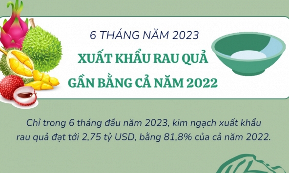 Xuất khẩu rau quả 6 tháng đầu năm 2023 gần bằng cả năm 2022