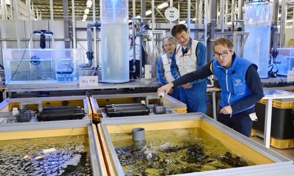 Trung Quốc cấm nhập khẩu thủy sản từ Nhật Bản