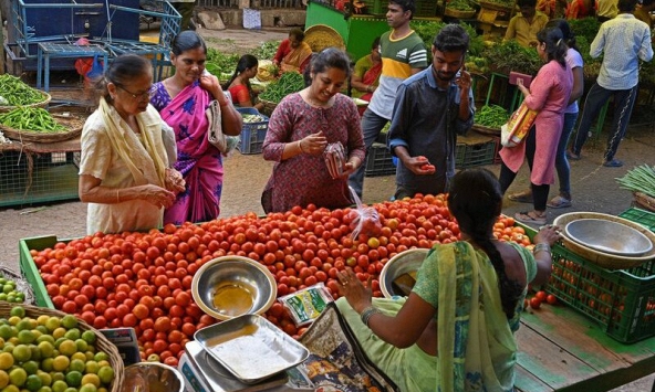Giá cà chua ở Ấn Độ tăng cao, đắt hơn cả xăng