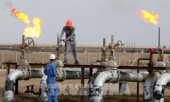 Giá gas hôm nay 11/7: Giảm nhẹ