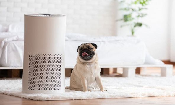 Thời tiết ngày càng tệ, có nên mua máy lọc không khí?