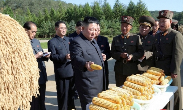 Triều Tiên vật lộn với tình trạng thiếu lương thực dù nhập khẩu phục hồi