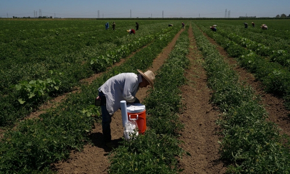 Nắng nóng gây sức ép lên doanh nghiệp nhỏ và nền kinh tế