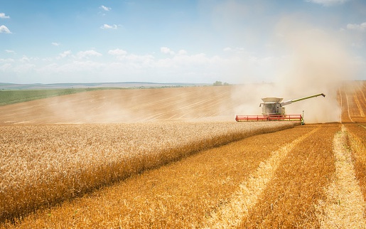 Hệ lụy gì khi Sáng kiến ngũ cốc Biển Đen kết thúc?