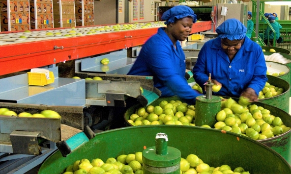 Xuất khẩu của châu Phi sang Trung Quốc sụt giảm gần 12%