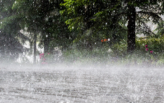 Dự báo thời tiết ngày mai 25/7: Miền Bắc nắng nóng, miền Nam mưa to