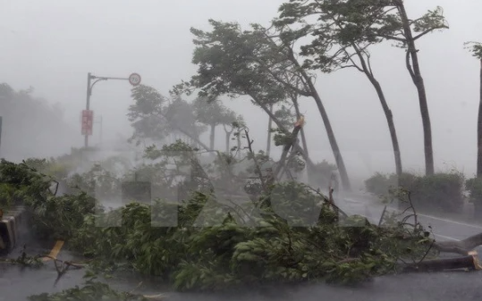 Dự báo thời tiết ngày mai 27/7: Khu vực Nam Trung Bộ sẽ có mưa rào và dông rải rác