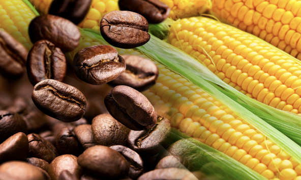 Giá nông sản lao dốc