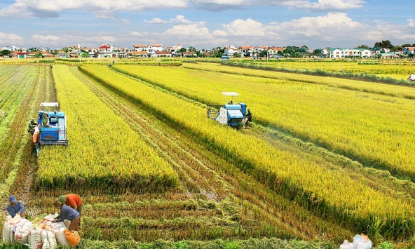 Trung Quốc và nỗi lo an ninh lương thực với 1,4 tỷ dân