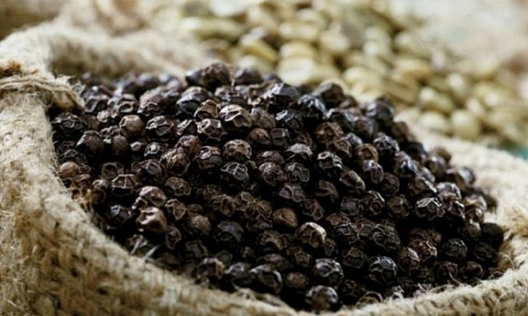 Thủ tướng yêu cầu hỗ trợ doanh nghiệp xuất khẩu hồ tiêu sang UAE