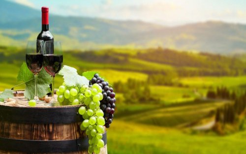 Rượu Champagne bùng nổ doanh số nhưng hương vị không còn đảm bảo như xưa