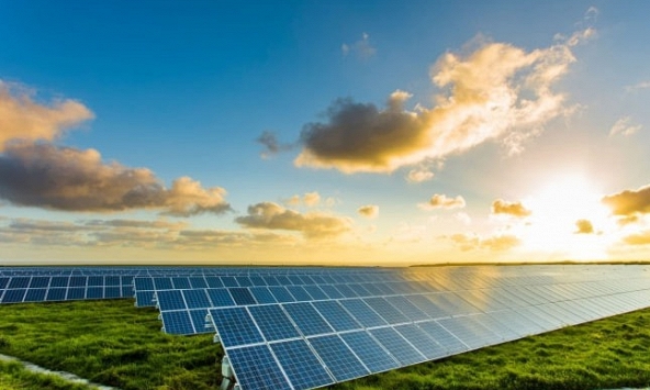 Áp sai giá điện mặt trời, EVN mất gần 1.500 tỷ đồng