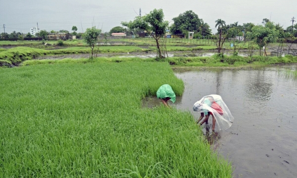 5 điều cần biết để bắt đầu ngày mới (10/8)