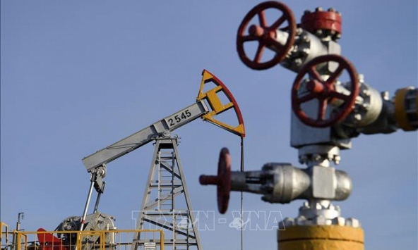 Giá gas hôm nay 11/8: Giữ đà tăng