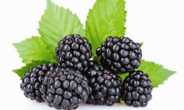 7 loại quả giàu canxi giúp trẻ tăng chiều cao