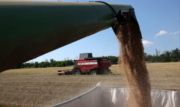 Vận chuyển ngũ cốc 'đắt đỏ' từ Ukraina đe dọa nguồn cung lương thực của châu Á