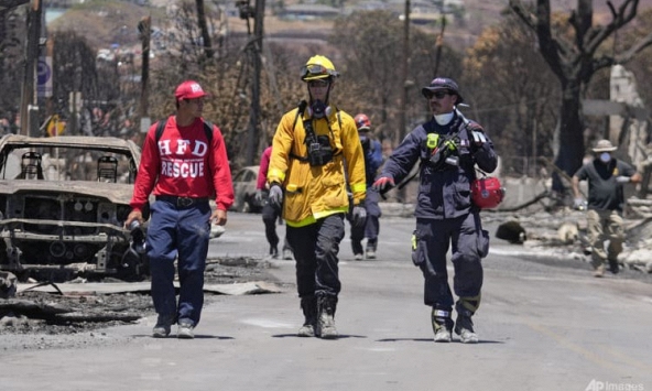 Cháy rừng ở Hawaii, số người chết tăng lên 93, thiệt hại lên tới 6 tỷ USD